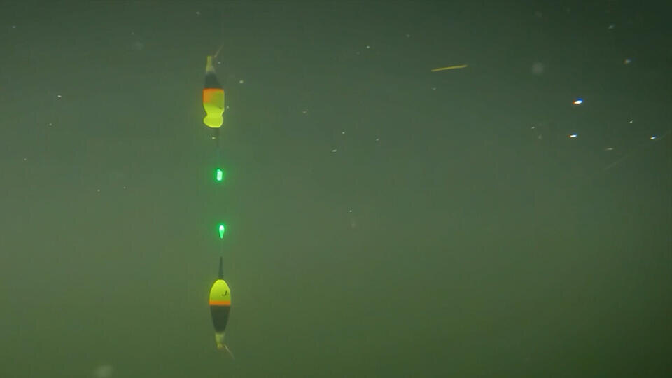 Фото: © Кадр из программы "Знаете ли вы, что?", РЕН ТВ