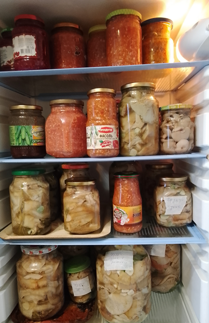 А это мой запасной холодильник осенью. К зиме готовы.