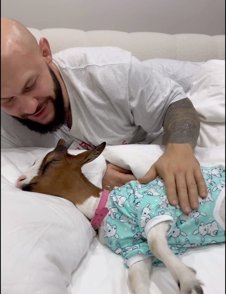 Джиган с козой. Фото: соцсети/@samoylovaoxana