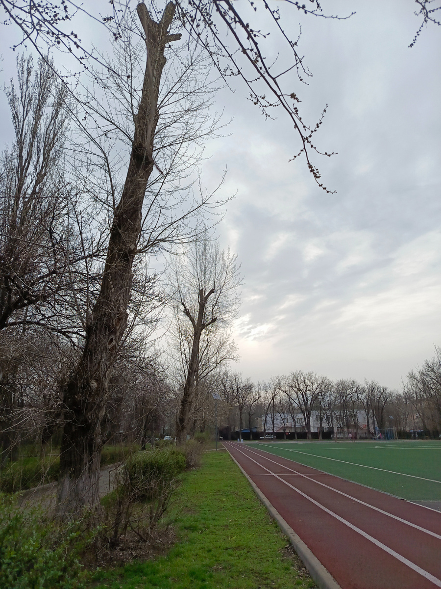 Первая пробежка на стадионе - обычно запоминается, как и всё, что бывает в первый раз...