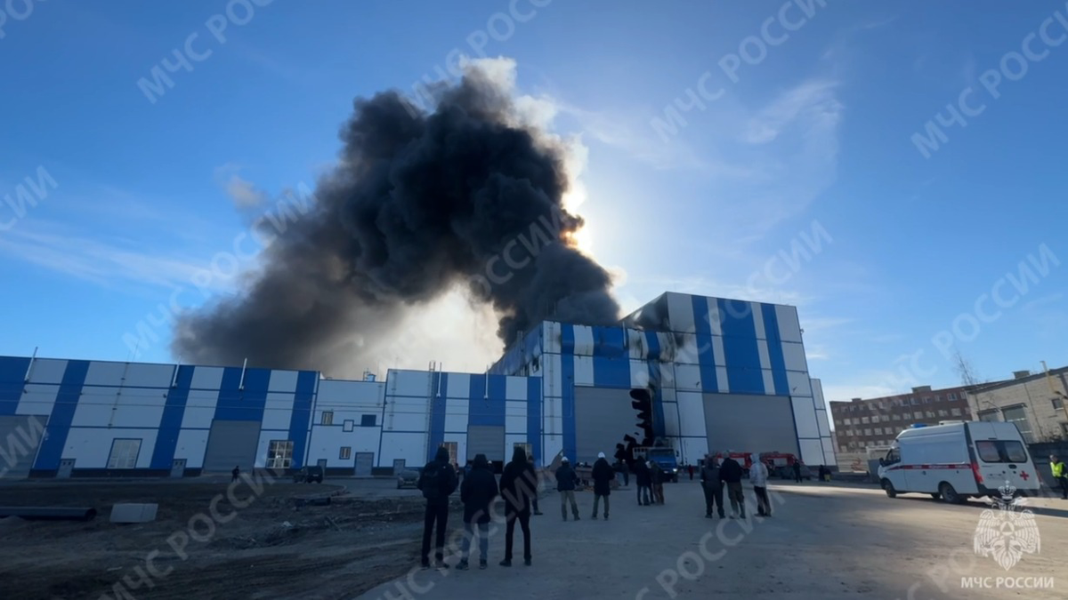    Фото: МЧС