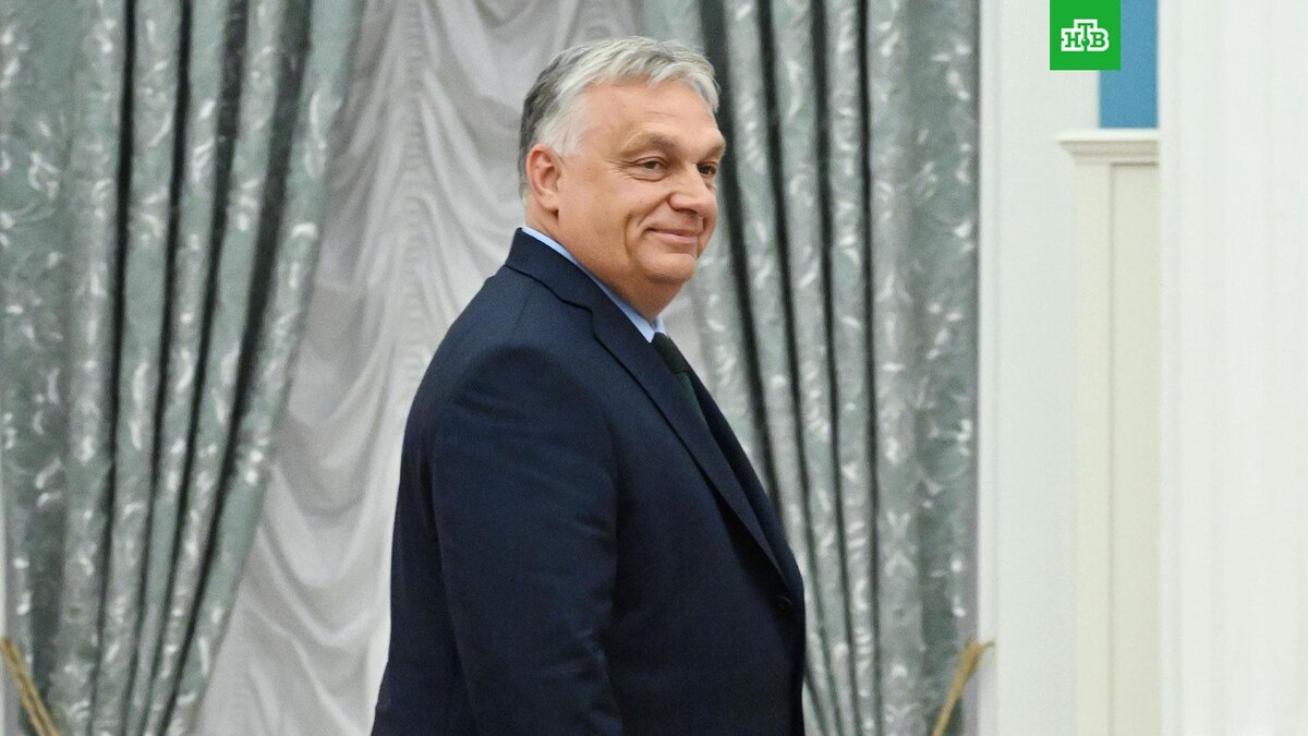    Фото: РИА Новости © 2025, Алексей Майшев