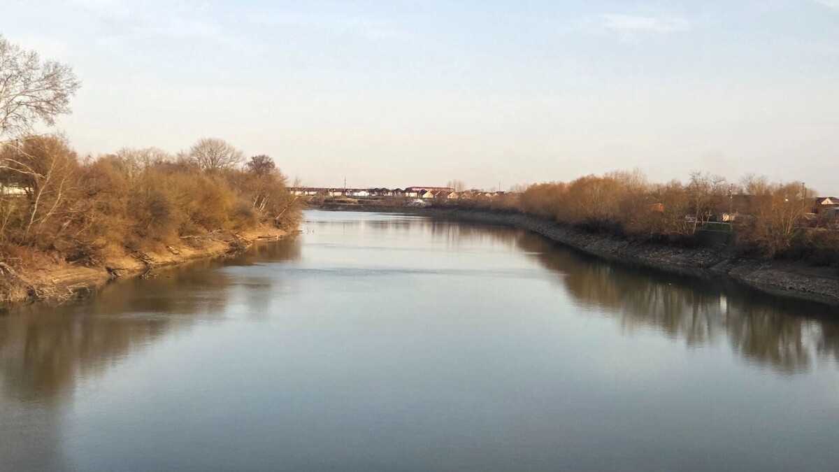     Автор: KubanPress