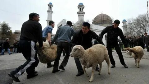 Картинка взята из открытых источников интернета.