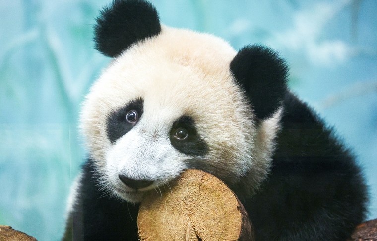    Сергей Петров/NEWS.ru