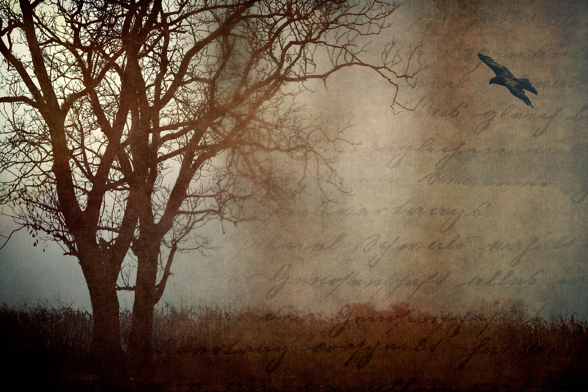 Фото: pxhere,com