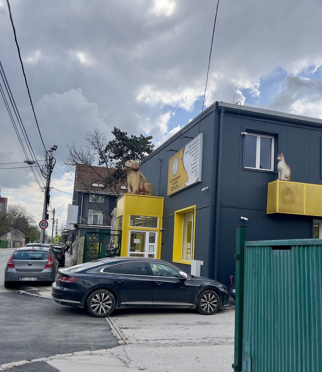 Минус клиники-нет парковки и нам пришлось искать, где можно  оставить машину