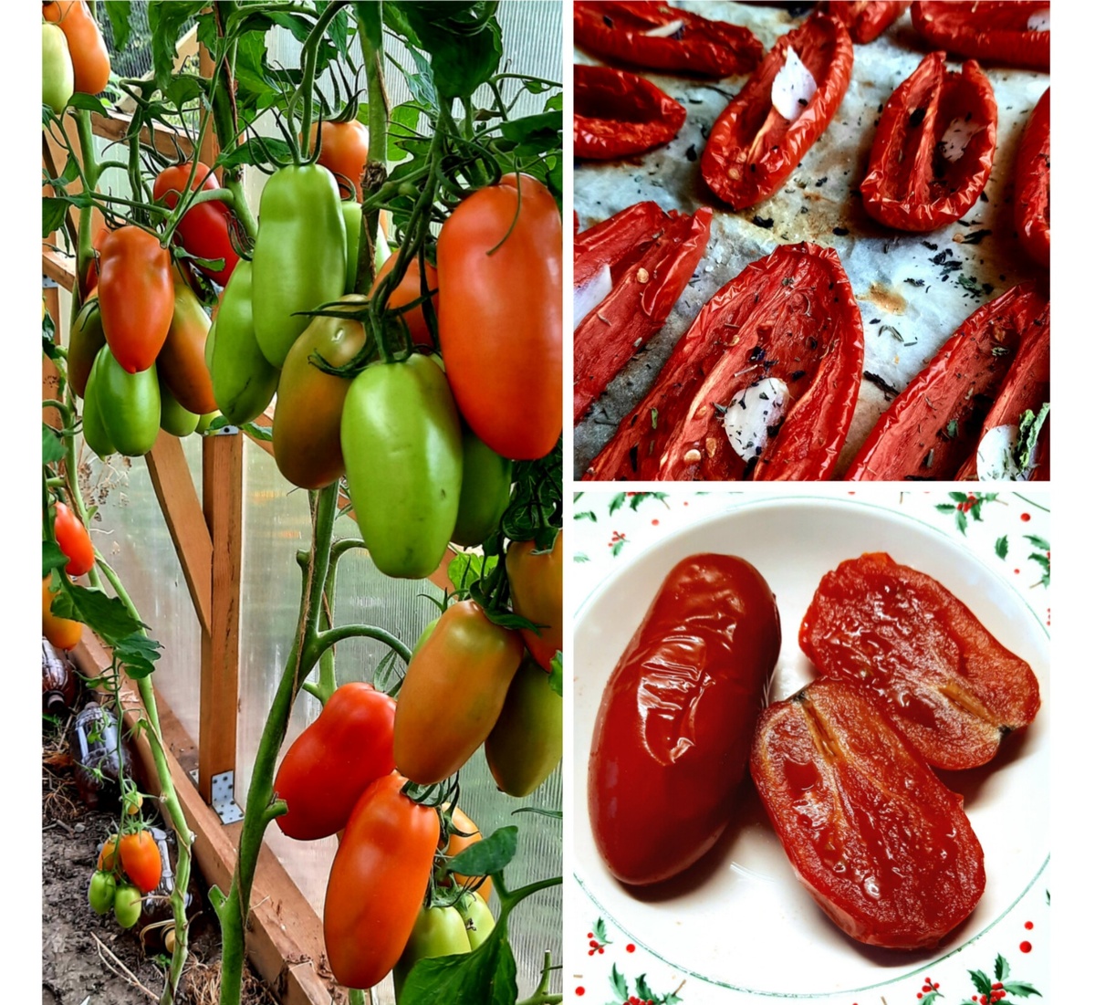 Коллаж автора. Поззано F1.