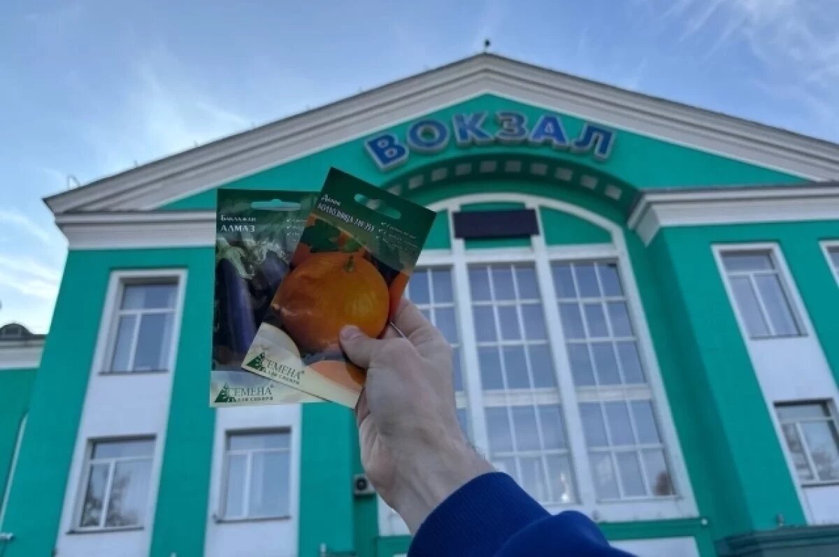    Дачники Кузбасса, купившие ж/д билет, могут бесплатно получить семена