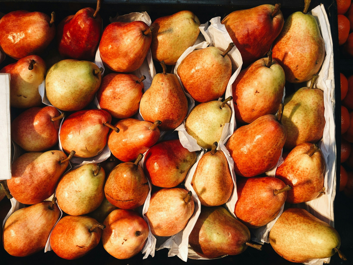 Фото: Alejandro Duarte on Unsplash