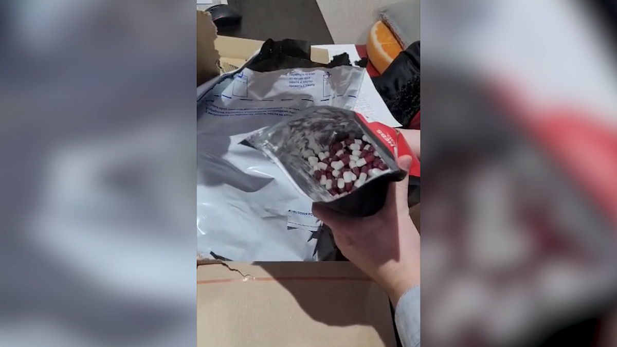    Фото: ГУ МВД России по Краснодарскому краю