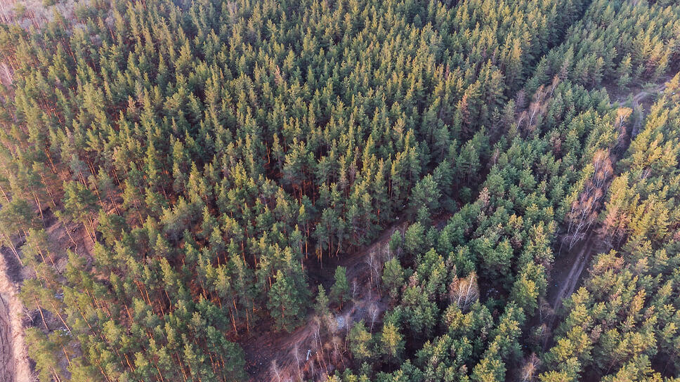 Фото: Игорь Елисеев / Коммерсантъ