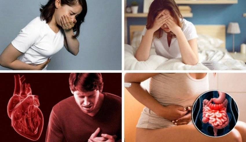 Тошнота, слабость, головокружение… Пищевое отравление – это не просто неприятные ощущения, это сложный процесс, который происходит в нашем мозге.