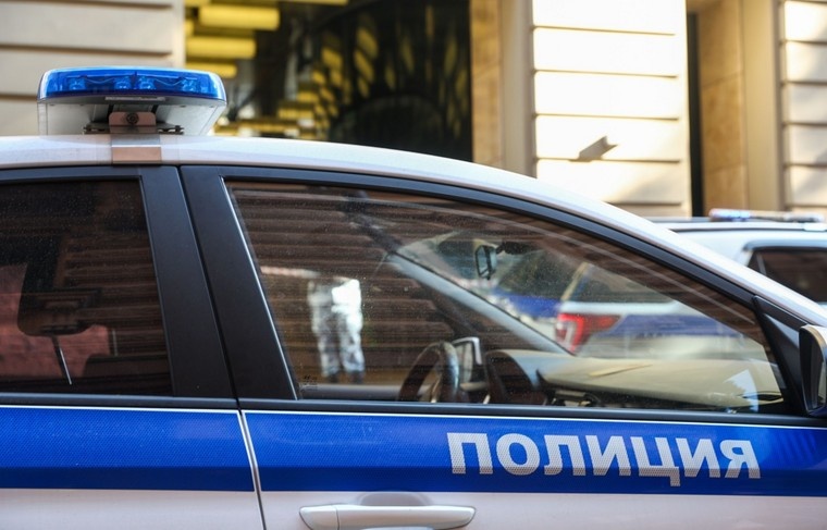    Наталья Шатохина/NEWS.ru