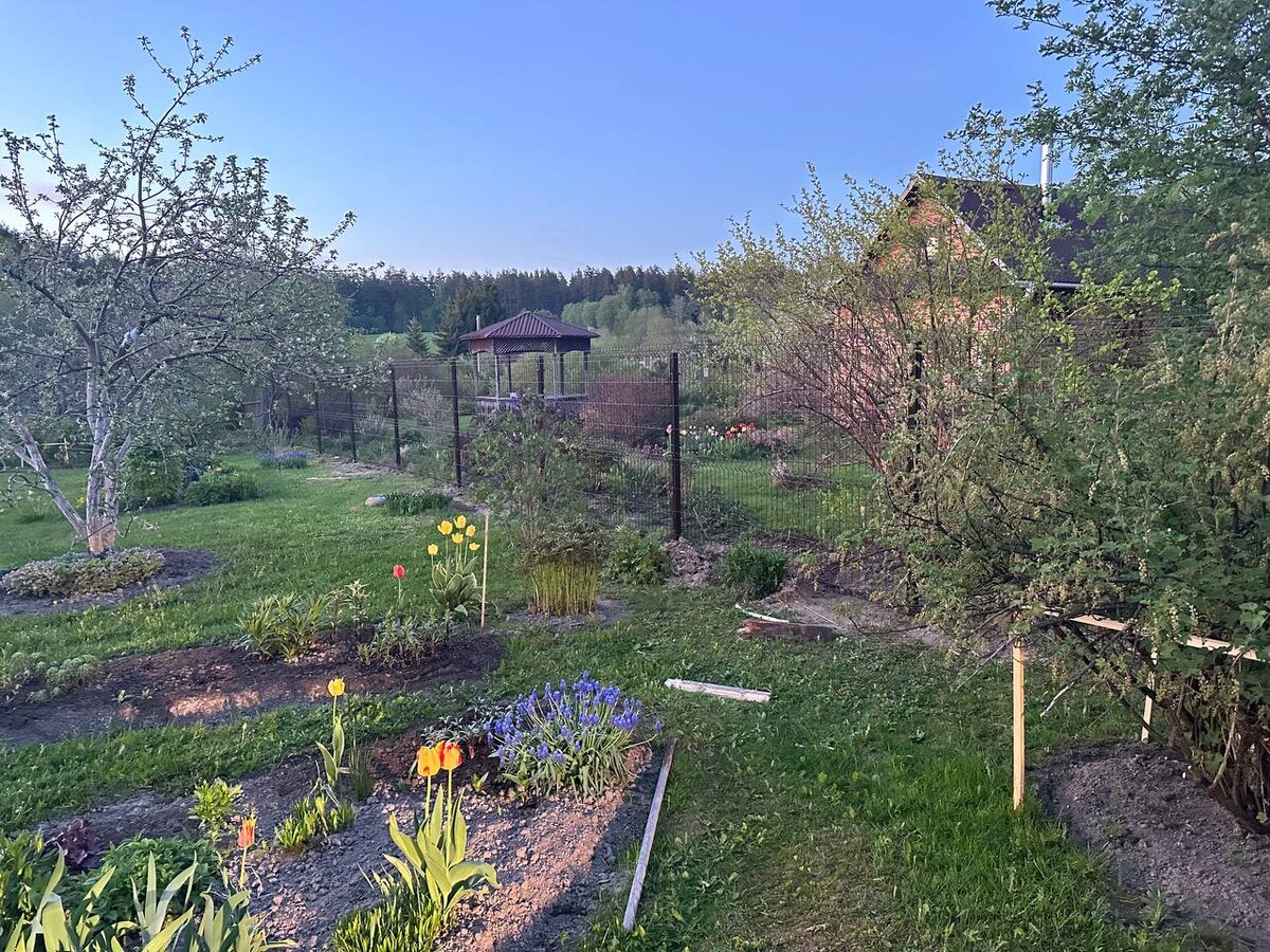 Забор из сетки Гиттер