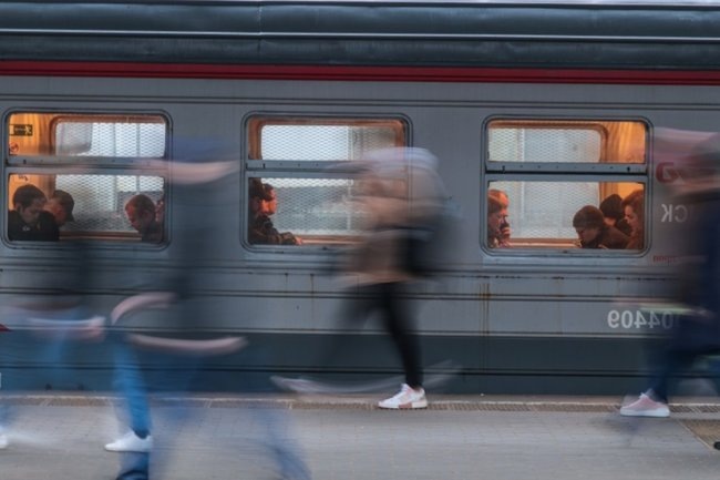    Хозяева разыскивают пса Блюма, которого охранник высадил из поезда