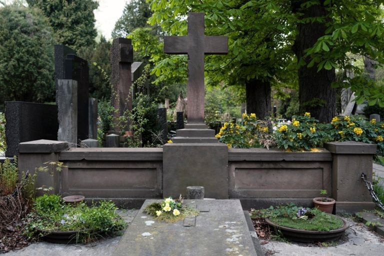    Фото: freepik.com/ freepik Илья Федоров