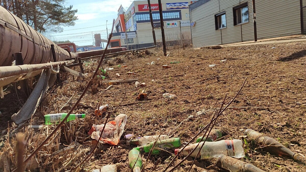     Источник: Udm-info