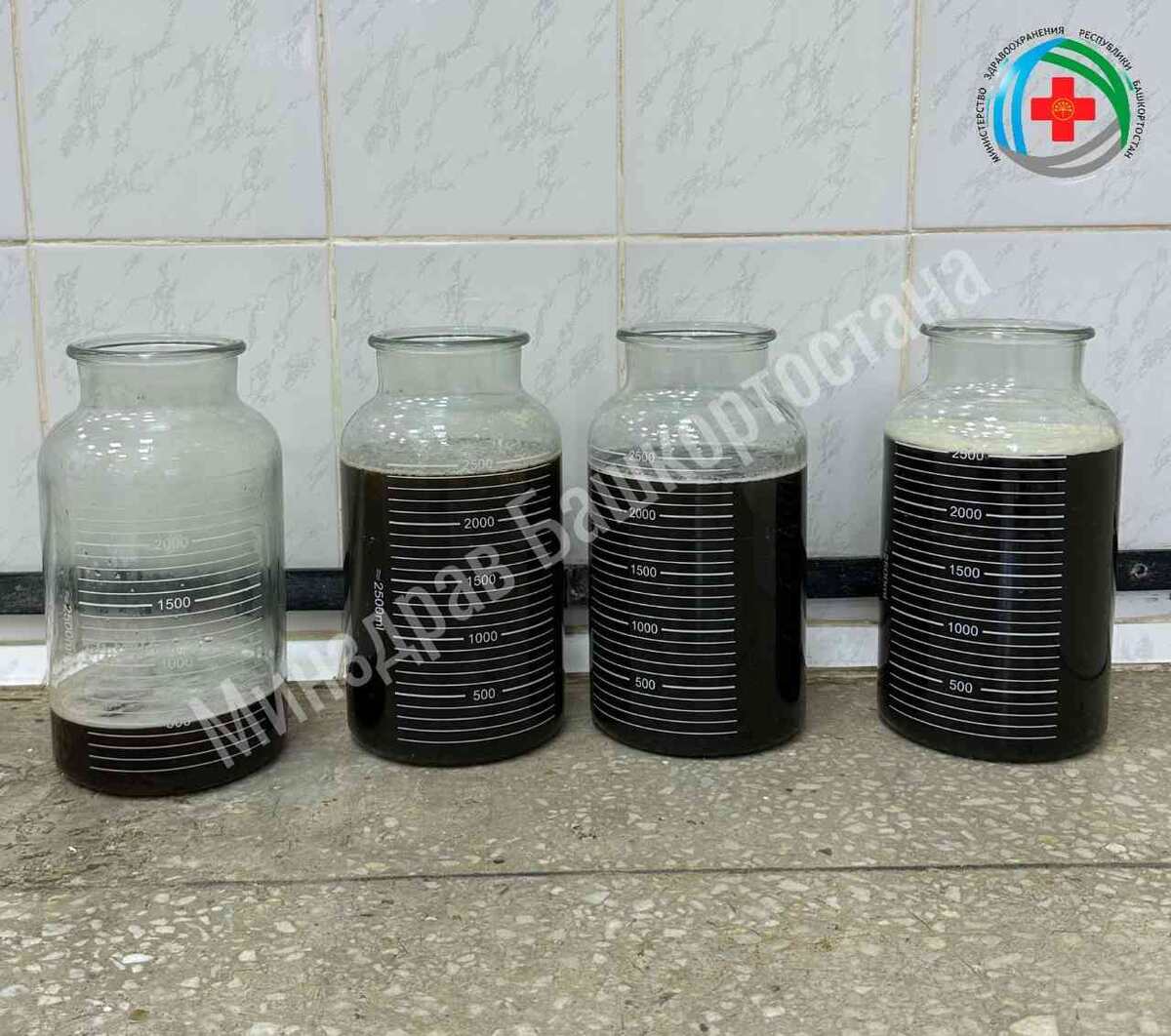    Фото: Министерство здравоохранения республики Башкортостан