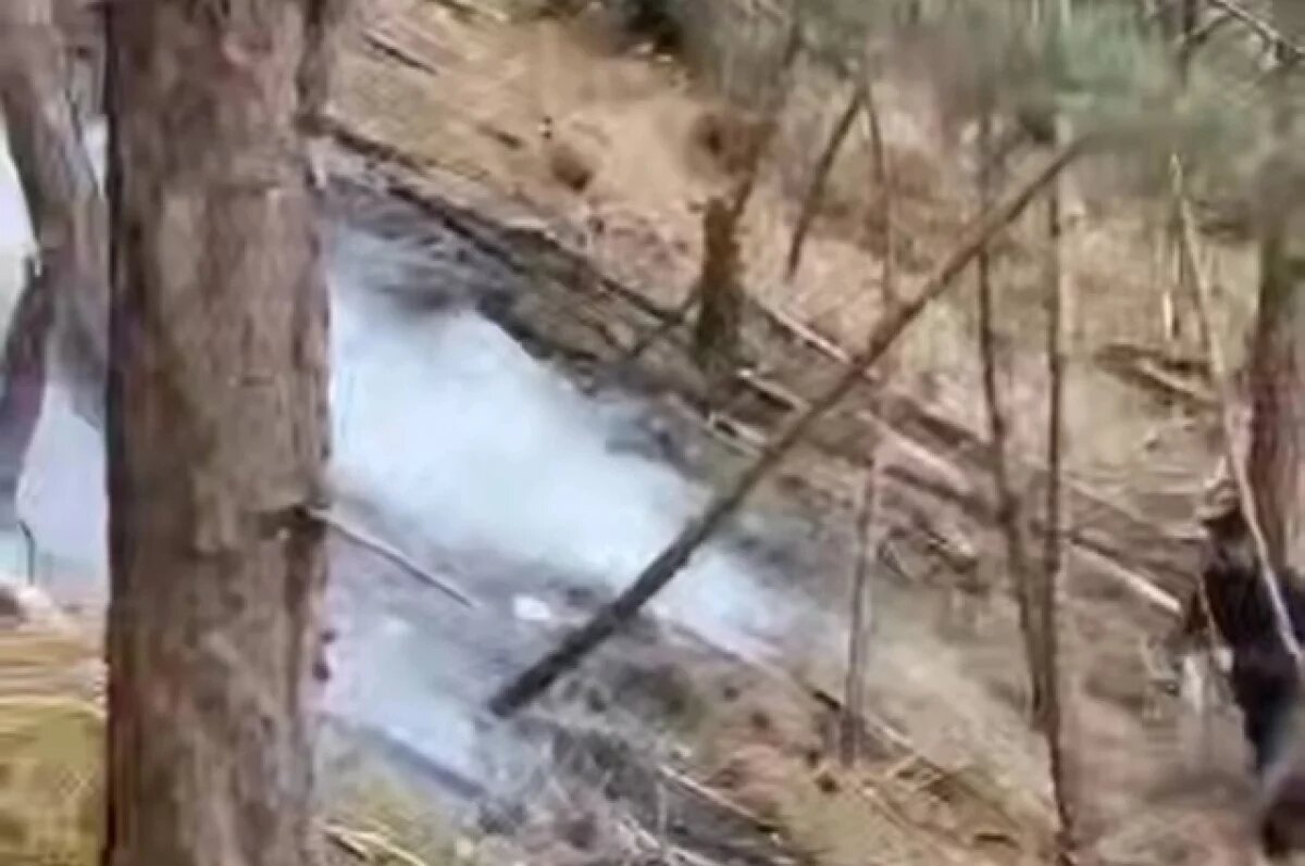    В Дагестане продолжают тушить лесной пожар в горах