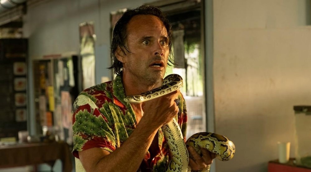     Кадр из 3 сезона сериала «Белый лотос» (2025)