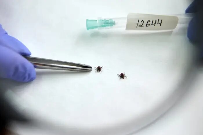     © РИА Новости. Павел Лисицын