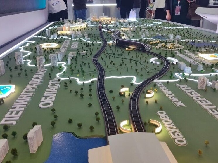     Замминистра транспорта РФ Дмитрий Зверев уже объявил, что цена билета на ВСМ в момент запуска движения в третьем квартале 2028 года будет равна 8905 рублям. фото: архив мк в питере