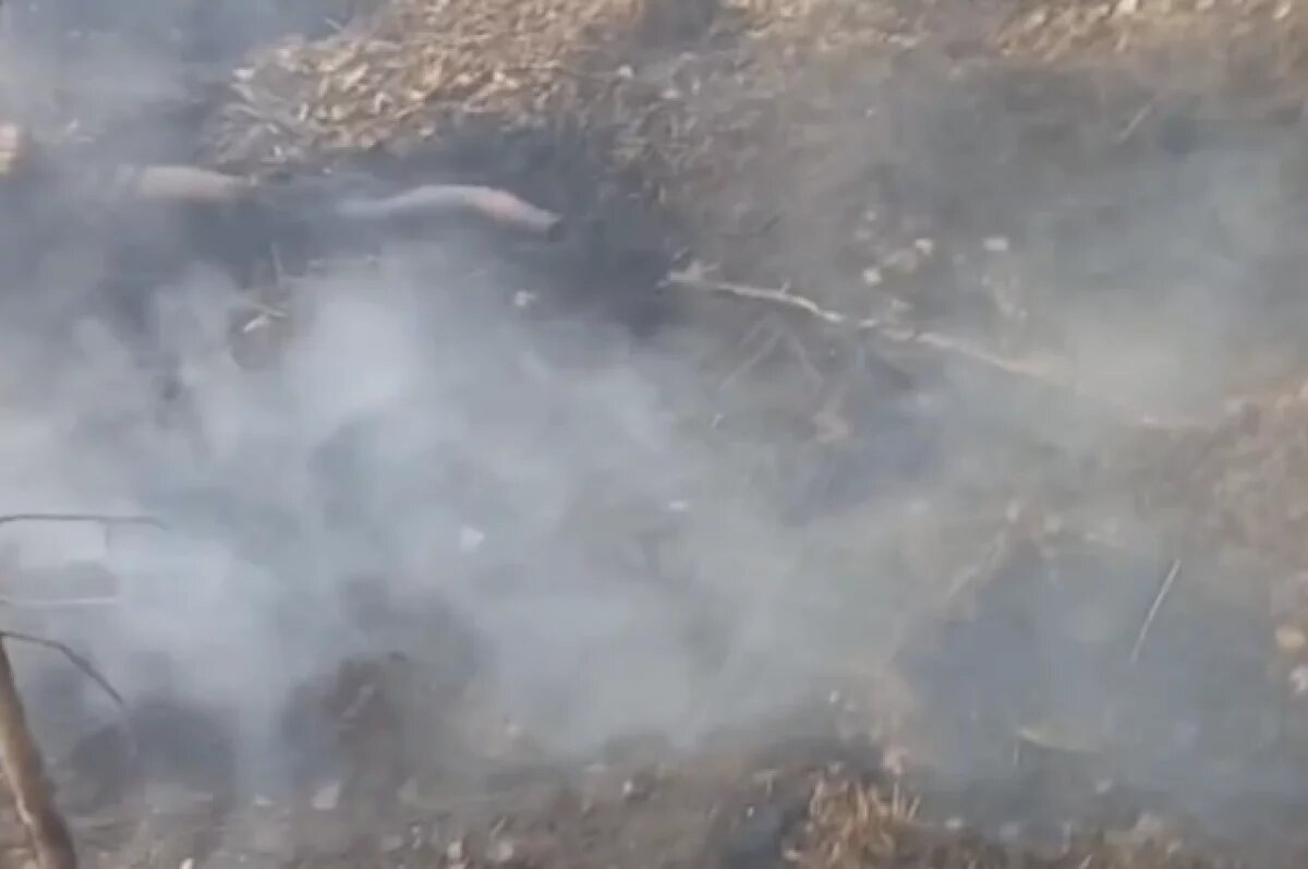    Лес горит около села в Читинском округе уже 3 дня