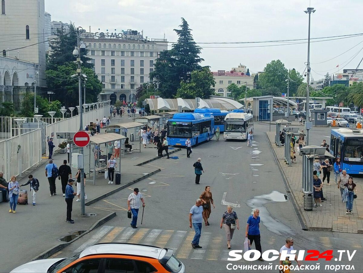    Фото: Сочи24