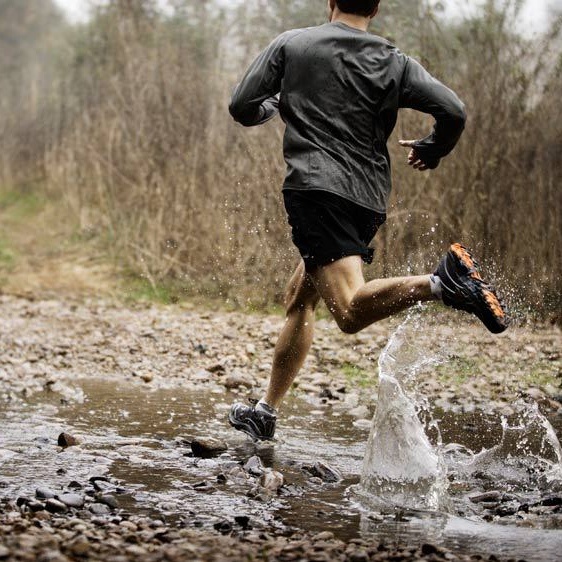 Фото из открытых источников.