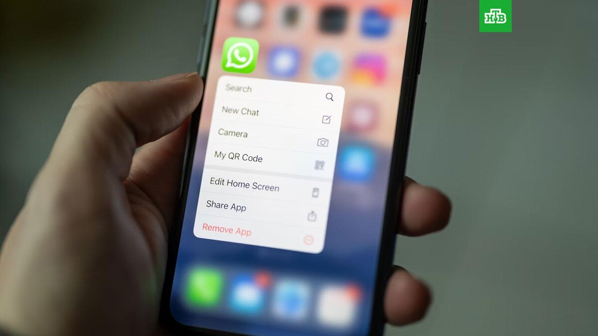    Фото: Dimitri Karastelev / unsplash.com