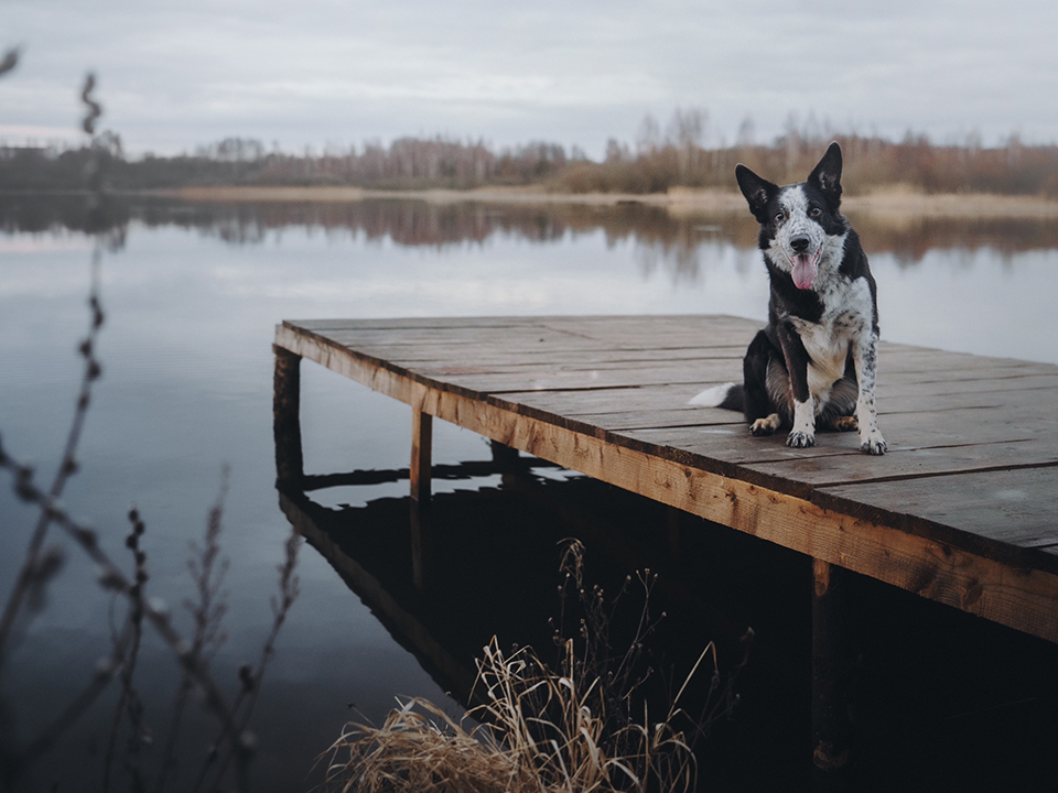     Милан. Фото: Анна Свиридова