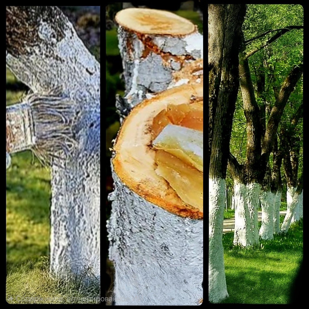 Как дачники совершают фатальную ошибку, садовый вар и побелка