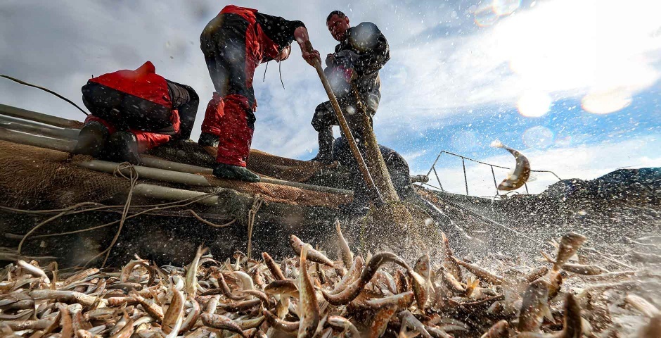    Дмитрий Феоктистов/ТАСС