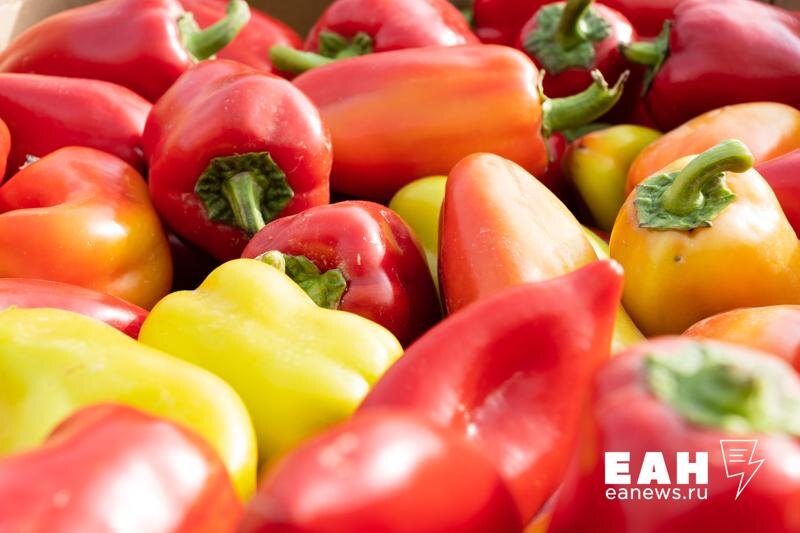    ЕАН / Архивное фото