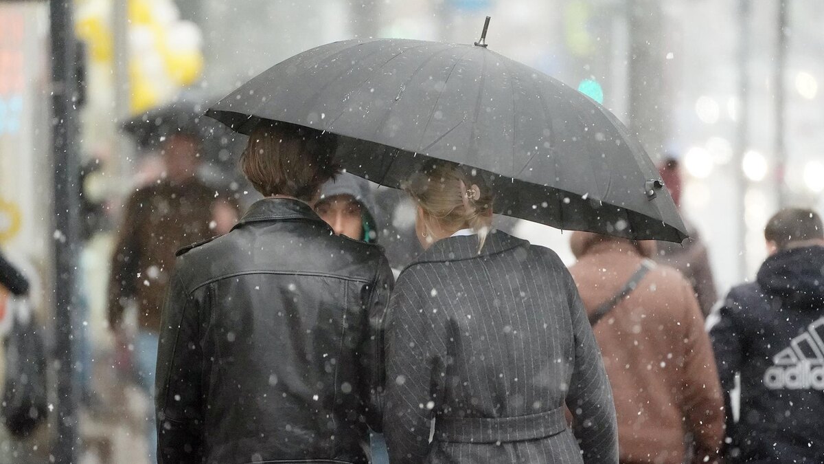    Фото: ИЗВЕСТИЯ/Павел Волков