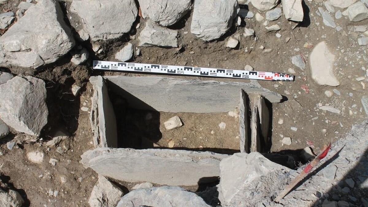    Фото: Муниципальный вестник Армавира