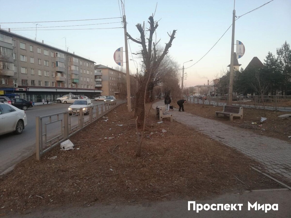     Источник: prmira.ru