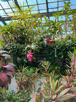 Фотография Анастасии Битюковой