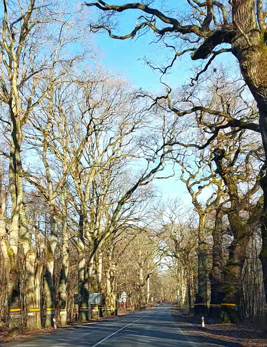 Последние "часовые" Вермахта