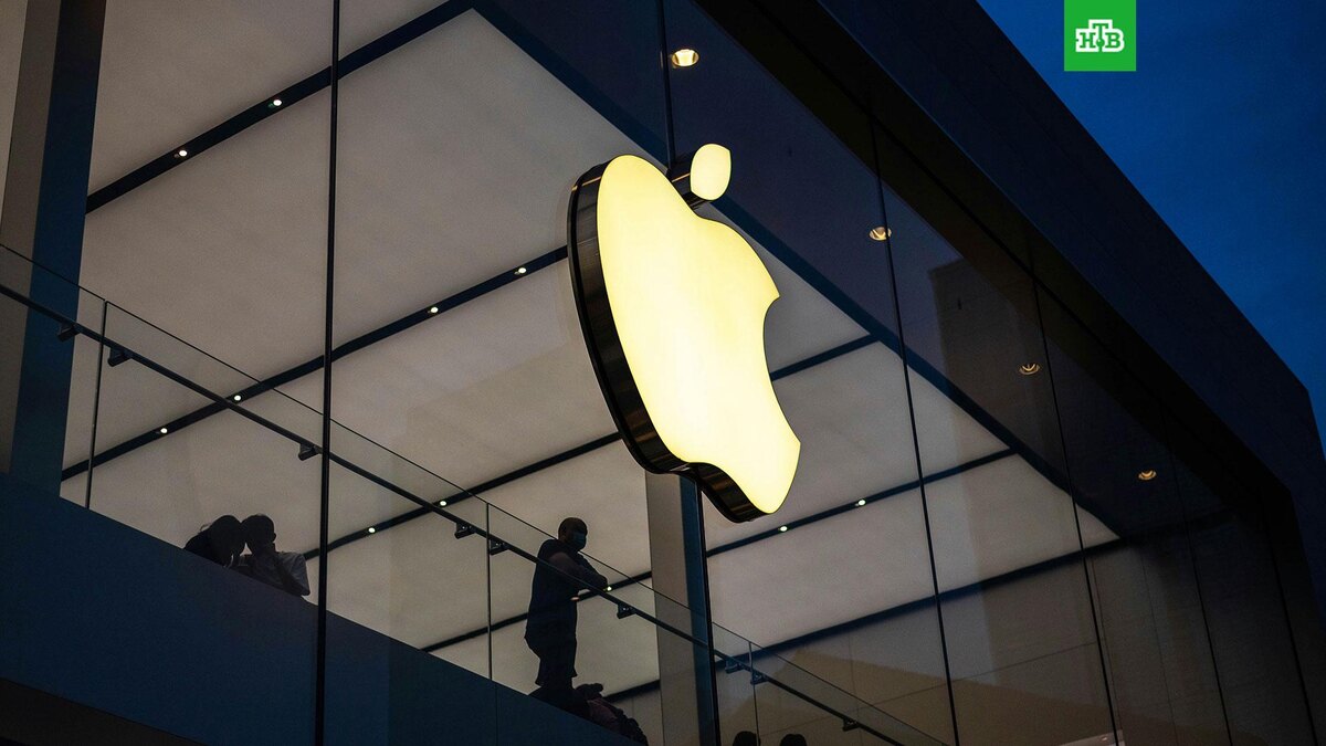    Фото: Bangyu Wang / unsplash.com