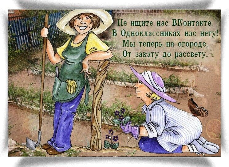 Похоже на реальность.