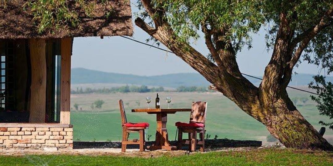 13 самых красивых и атмосферных виноделен Краснодарского края