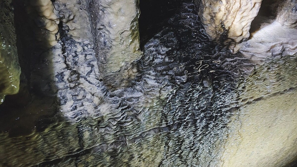     Источник: 1MI