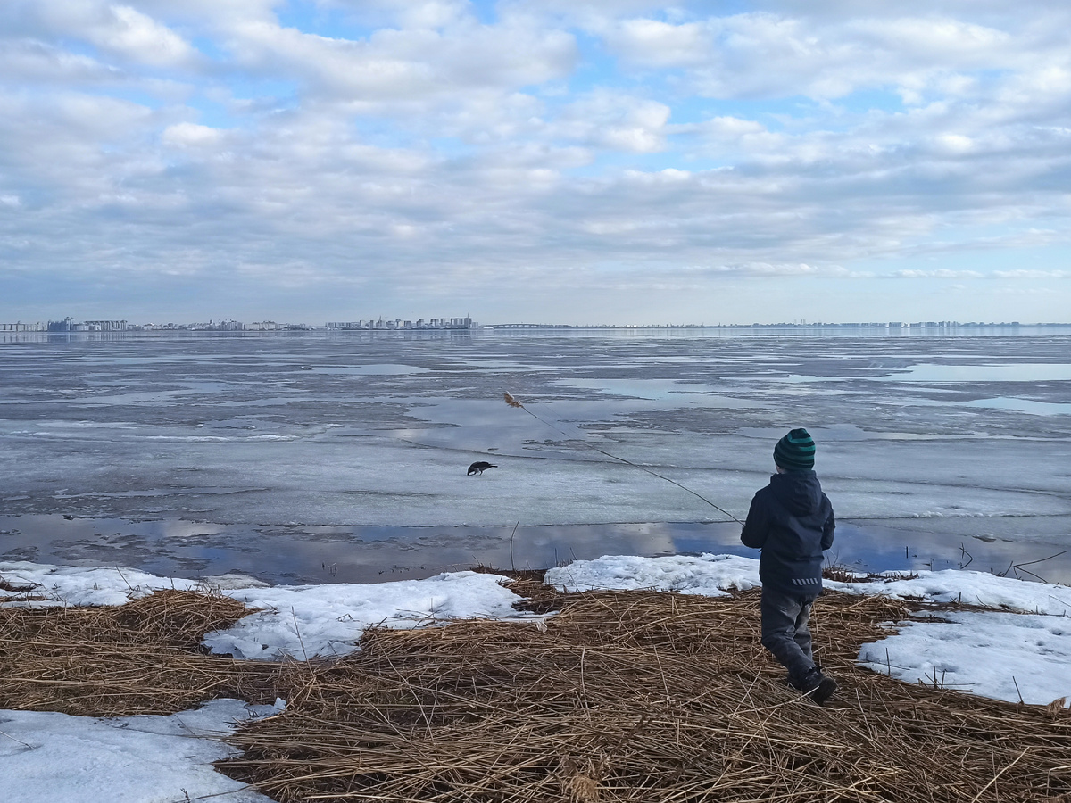 Финский залив 