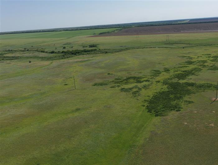    ФОТО: https://vk.com/oopt.pro.samara