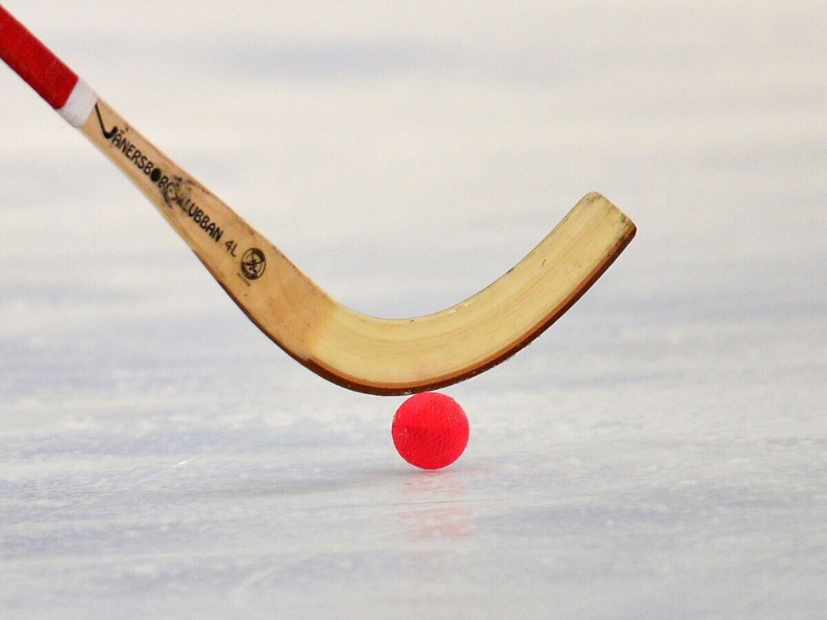    Хоккей с мячом© РИА Новости / Максим Богодвид