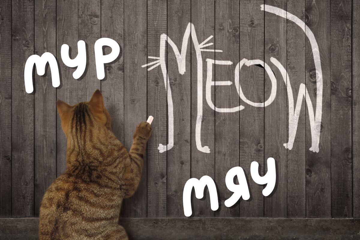 Мур-мяу