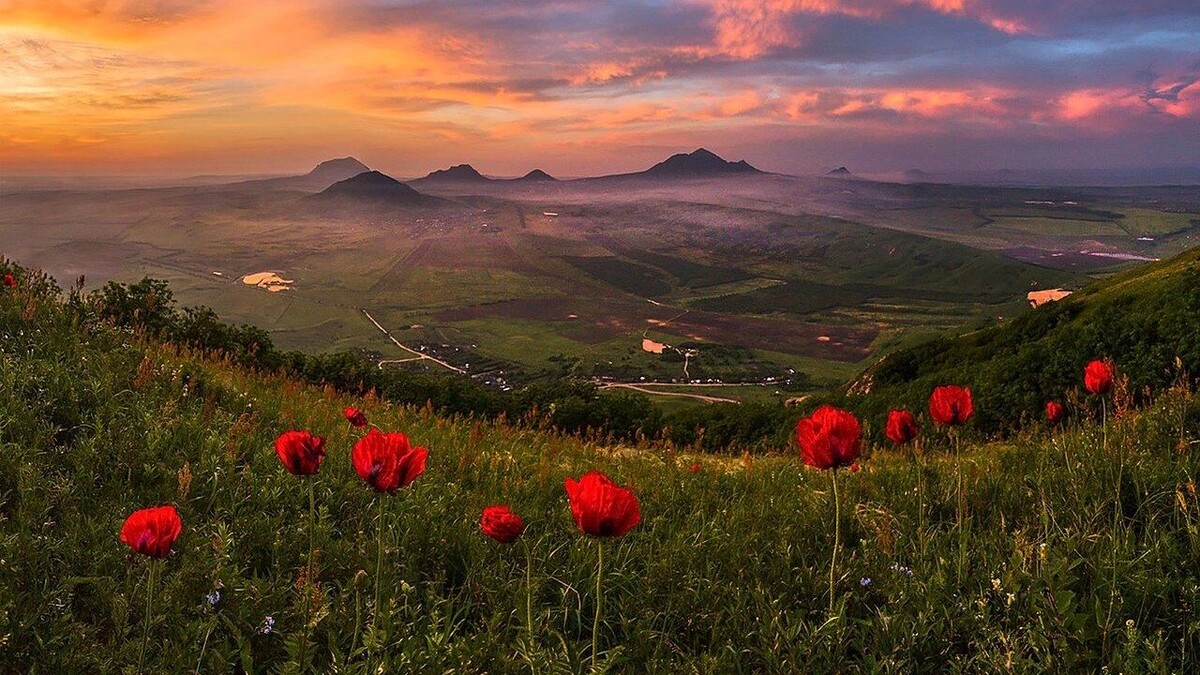     Автор: Лашков Фёдор/cc by sa 4.0/wiki