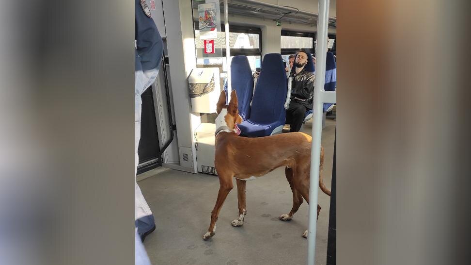    Фото: vk.com/Красный Бор ВКонтакте